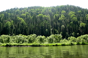 Посмотреть фотографию.  Файл: IMG_320.JPG       Размеры: 2400 x 1600     Объём: 4014 kB